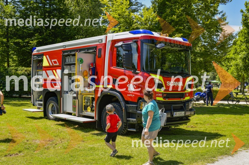 Družinski festival Mačje mesto 2024