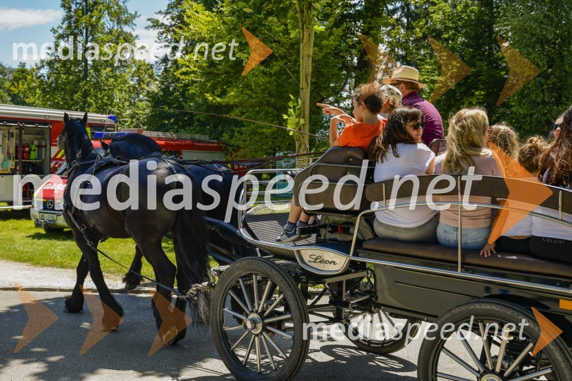 Družinski festival Mačje mesto 2024