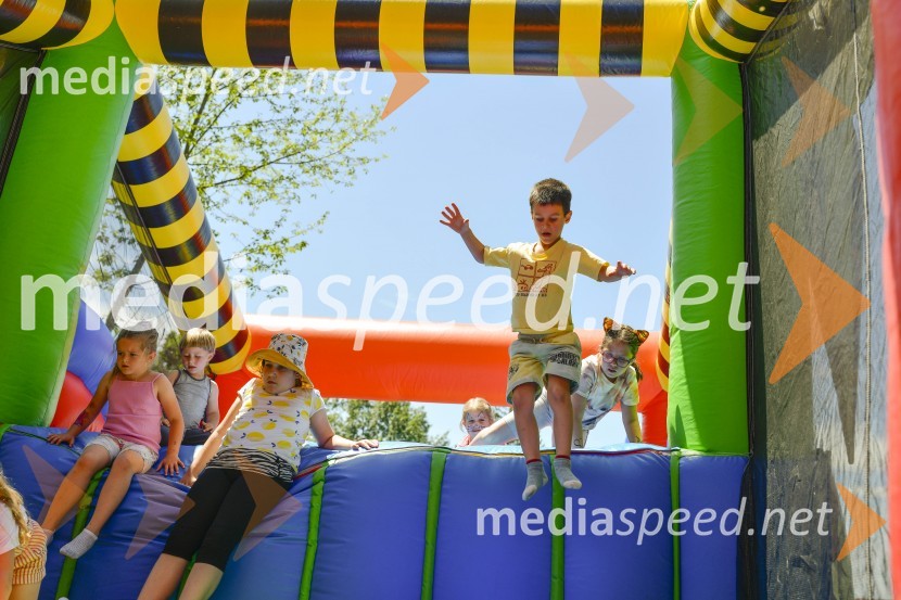 Družinski festival Mačje mesto 2024