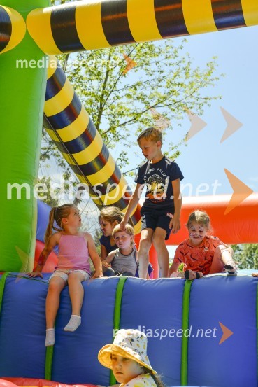 Družinski festival Mačje mesto 2024