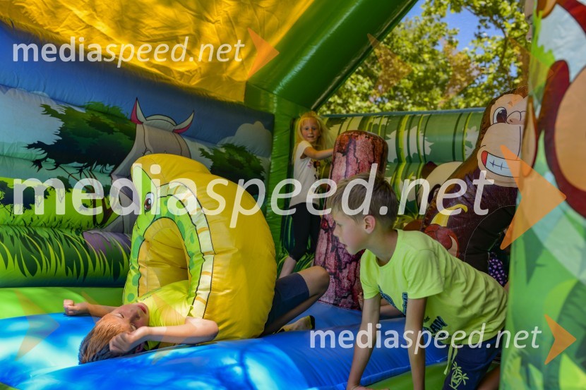 Družinski festival Mačje mesto 2024