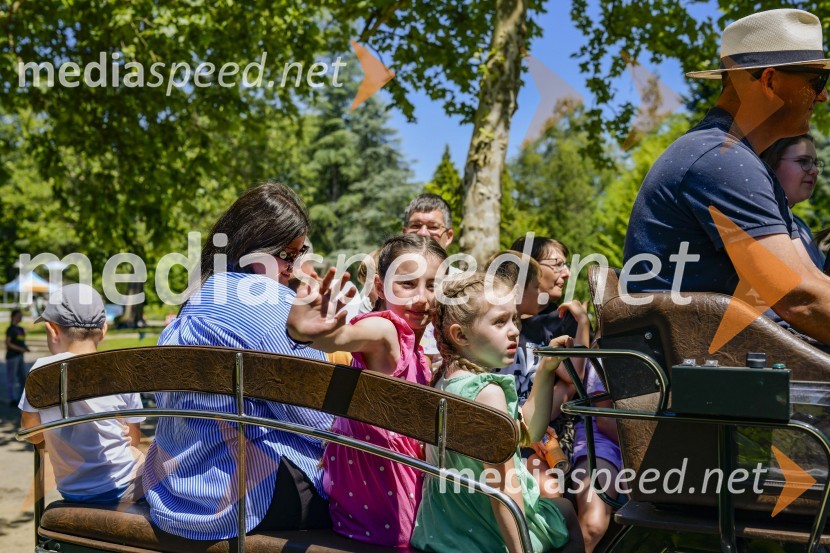 Družinski festival Mačje mesto 2024