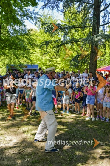 Družinski festival Mačje mesto 2024
