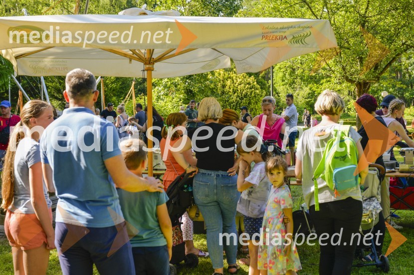 Družinski festival Mačje mesto 2024