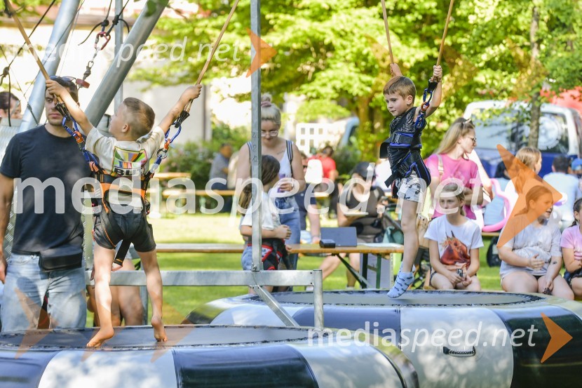 Družinski festival Mačje mesto 2024