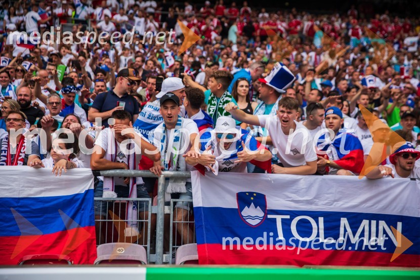 Slovenci osvojili prvo točko, SLOVENIJA DANSKA 1:1, EURO 2024