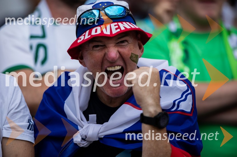 Slovenci osvojili prvo točko, SLOVENIJA DANSKA 1:1, EURO 2024