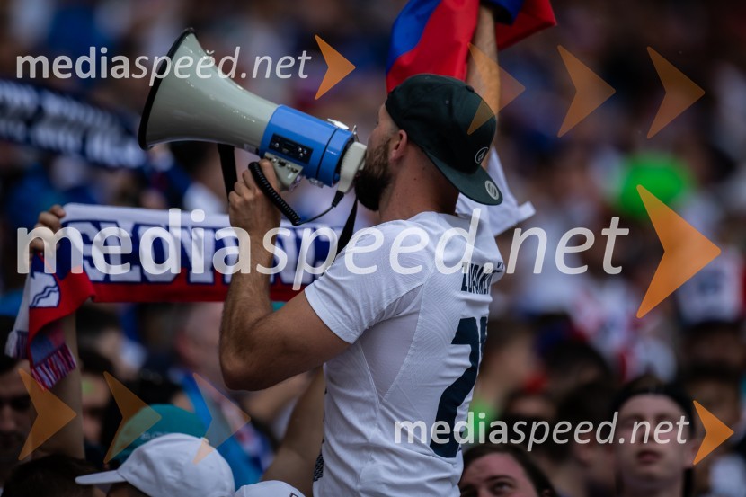 Slovenci osvojili prvo točko, SLOVENIJA DANSKA 1:1, EURO 2024