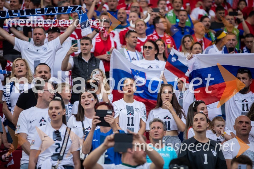 Slovenci osvojili prvo točko, SLOVENIJA DANSKA 1:1, EURO 2024