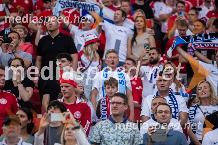  Danilo Steyer,   vinar, Steyer Vina; vinski vitez, predsednik Vinske reprezentance Slovenije;  Janez Bijol,  direktor podjetja Bijol d.o.o., predsednik Zbora alpskih disciplin, Smučarska zveza SlovenijeSlovenci osvojili prvo točko, SLOVENIJA DANSKA 1:1, EURO 2024