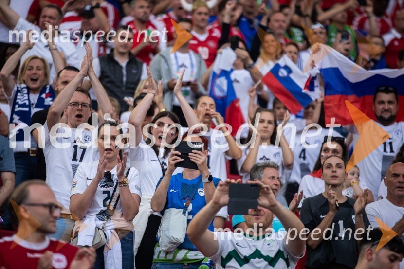 Slovenci osvojili prvo točko, SLOVENIJA DANSKA 1:1, EURO 2024