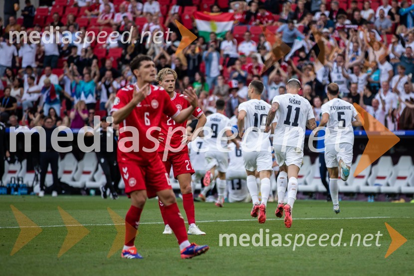 Slovenci osvojili prvo točko, SLOVENIJA DANSKA 1:1, EURO 2024