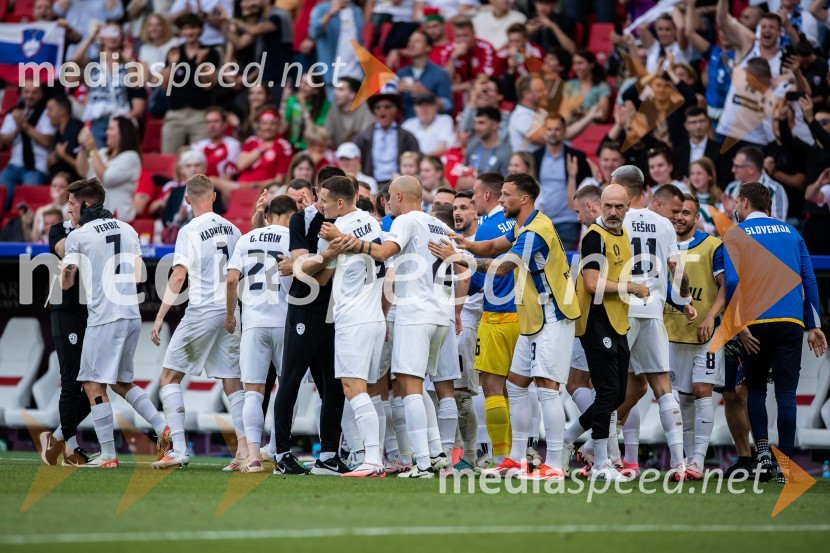 Slovenci osvojili prvo točko, SLOVENIJA DANSKA 1:1, EURO 2024