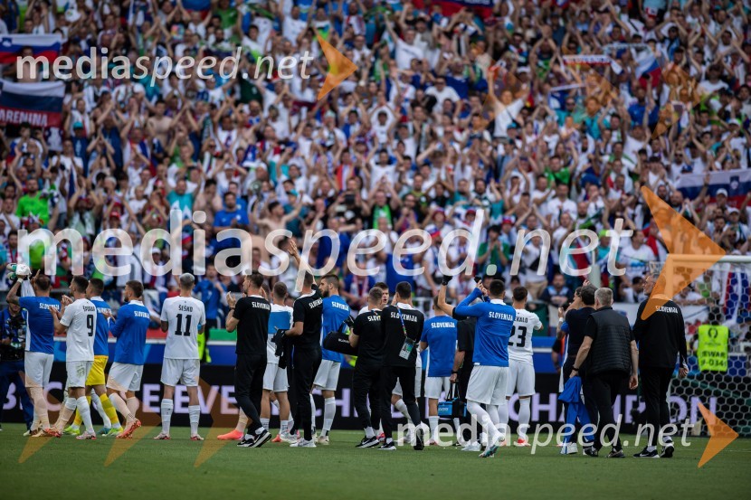 Slovenci osvojili prvo točko, SLOVENIJA DANSKA 1:1, EURO 2024