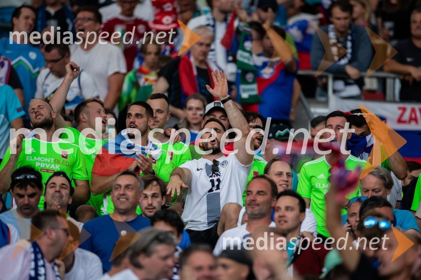 Slovenci osvojili prvo točko, SLOVENIJA DANSKA 1:1, EURO 2024