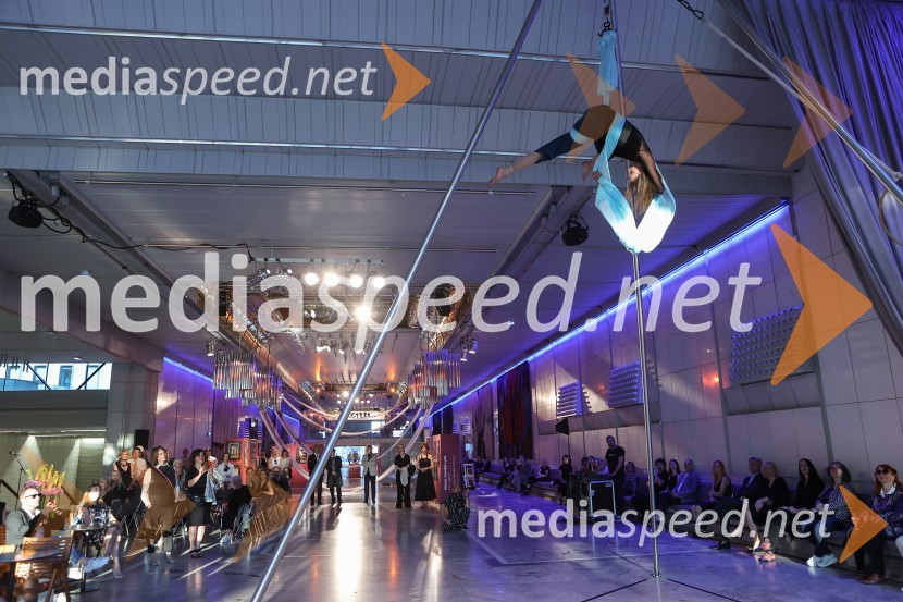 Drugi mednarodni plesni festival Baletne noči, otvoritev