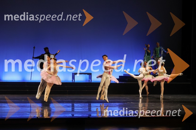 Drugi mednarodni plesni festival Baletne noči, otvoritev