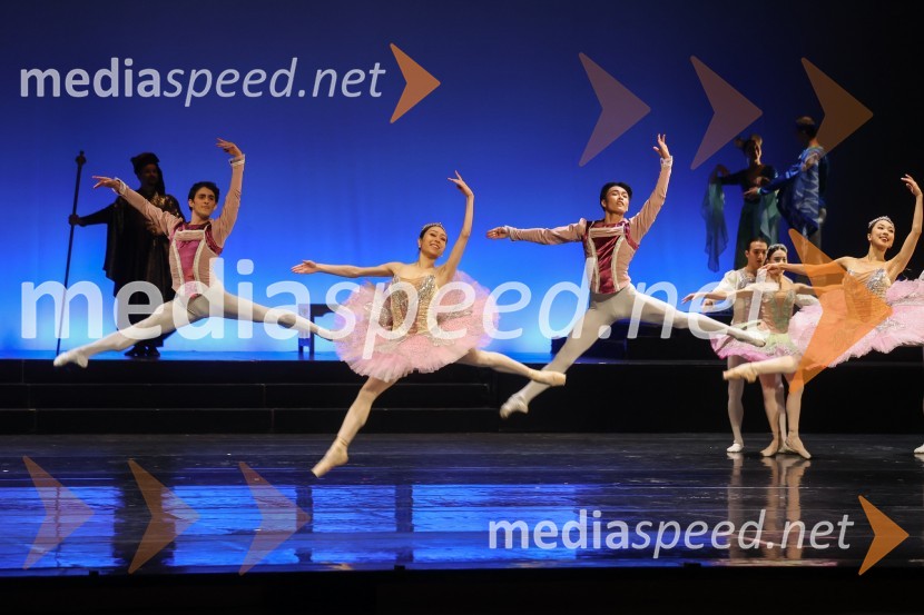 Drugi mednarodni plesni festival Baletne noči, otvoritev