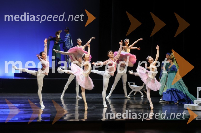 Drugi mednarodni plesni festival Baletne noči, otvoritev