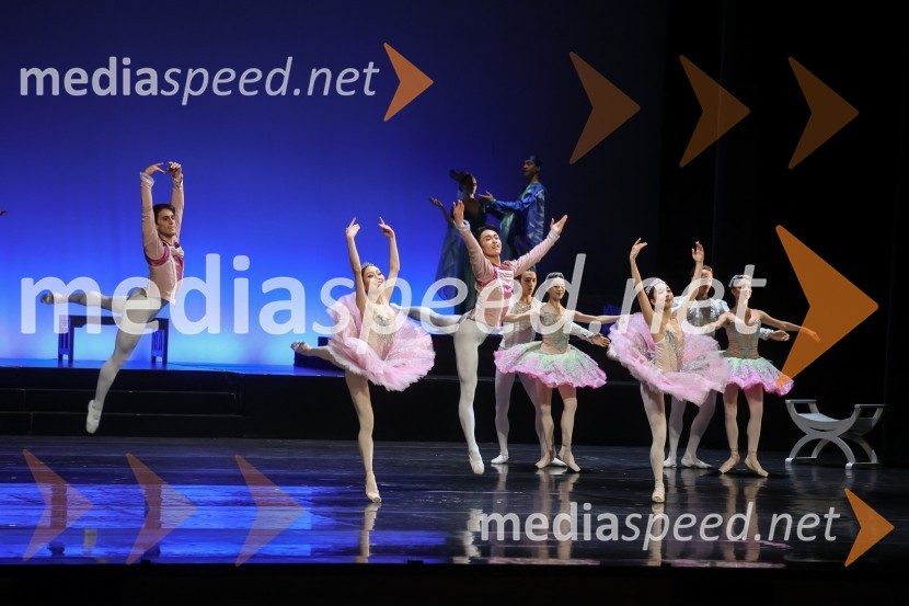 Drugi mednarodni plesni festival Baletne noči, otvoritev