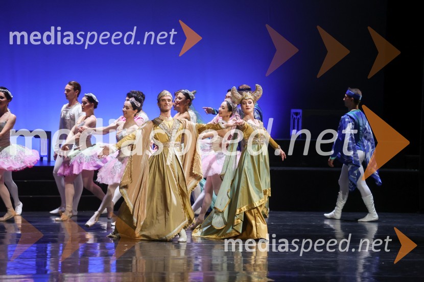 Drugi mednarodni plesni festival Baletne noči, otvoritev