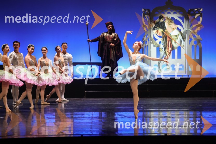 Drugi mednarodni plesni festival Baletne noči, otvoritev