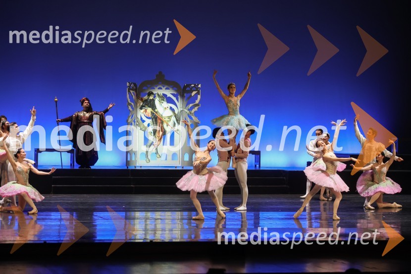 Drugi mednarodni plesni festival Baletne noči, otvoritev