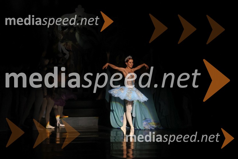 Drugi mednarodni plesni festival Baletne noči, otvoritev