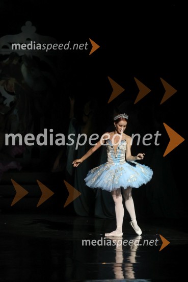 Drugi mednarodni plesni festival Baletne noči, otvoritev