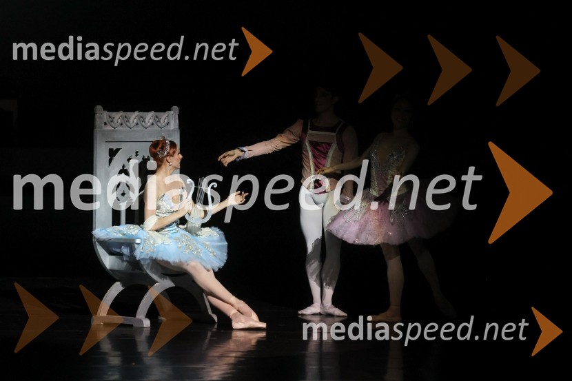 Drugi mednarodni plesni festival Baletne noči, otvoritev