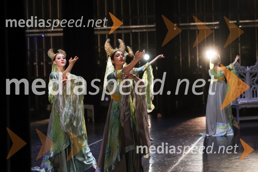 Drugi mednarodni plesni festival Baletne noči, otvoritev