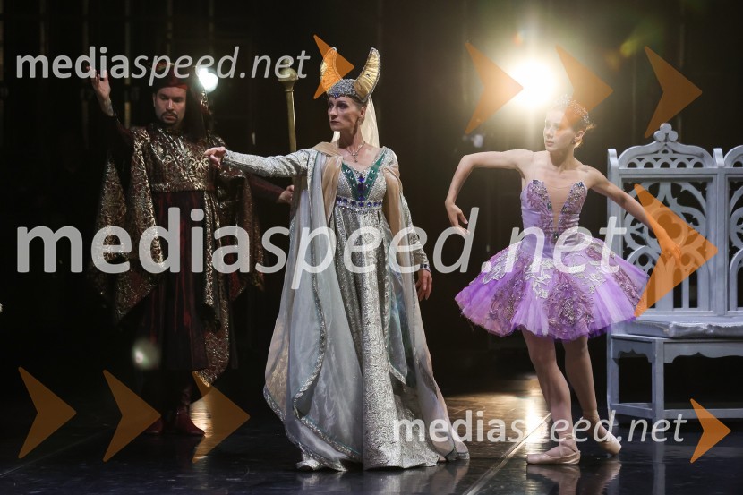 Drugi mednarodni plesni festival Baletne noči, otvoritev