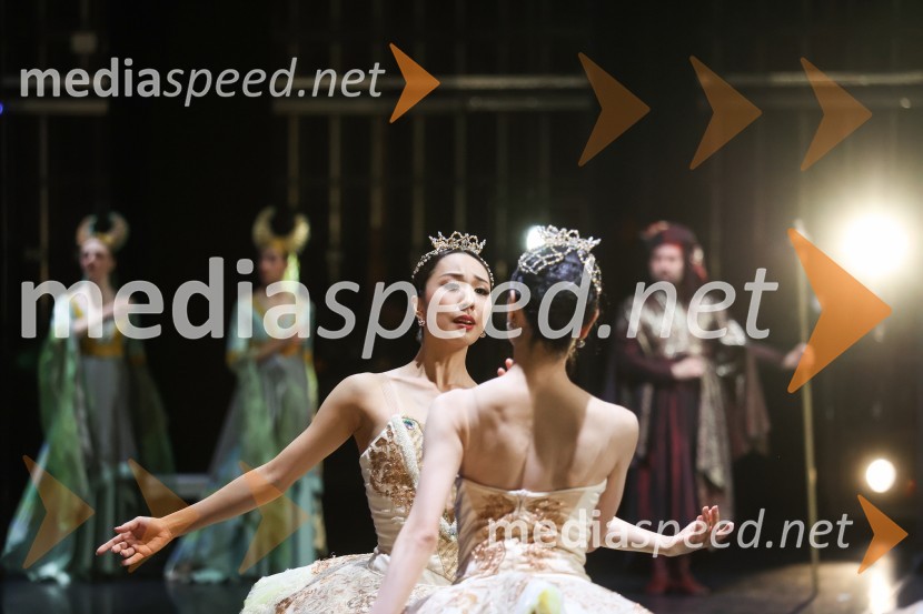 Drugi mednarodni plesni festival Baletne noči, otvoritev