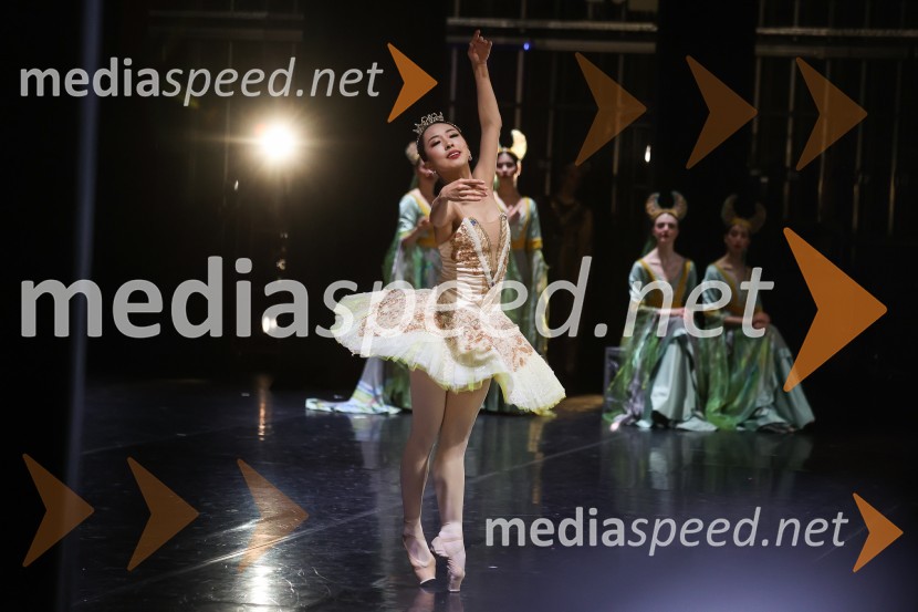 Drugi mednarodni plesni festival Baletne noči, otvoritev