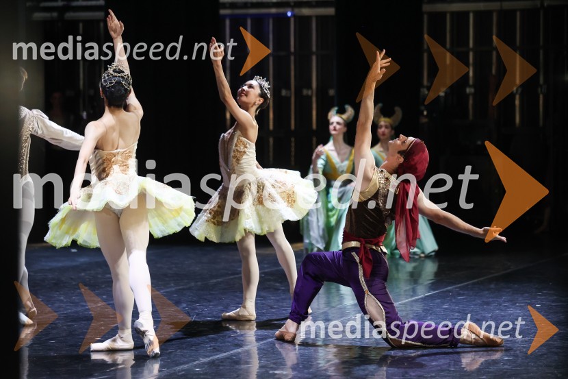 Drugi mednarodni plesni festival Baletne noči, otvoritev