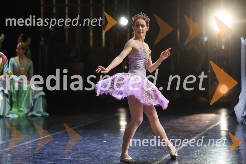 Drugi mednarodni plesni festival Baletne noči, otvoritev