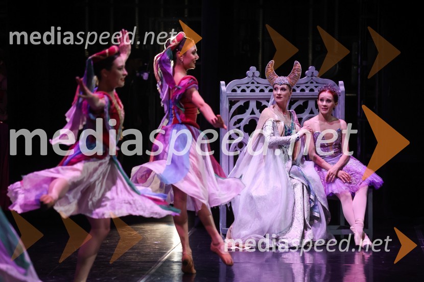 Drugi mednarodni plesni festival Baletne noči, otvoritev