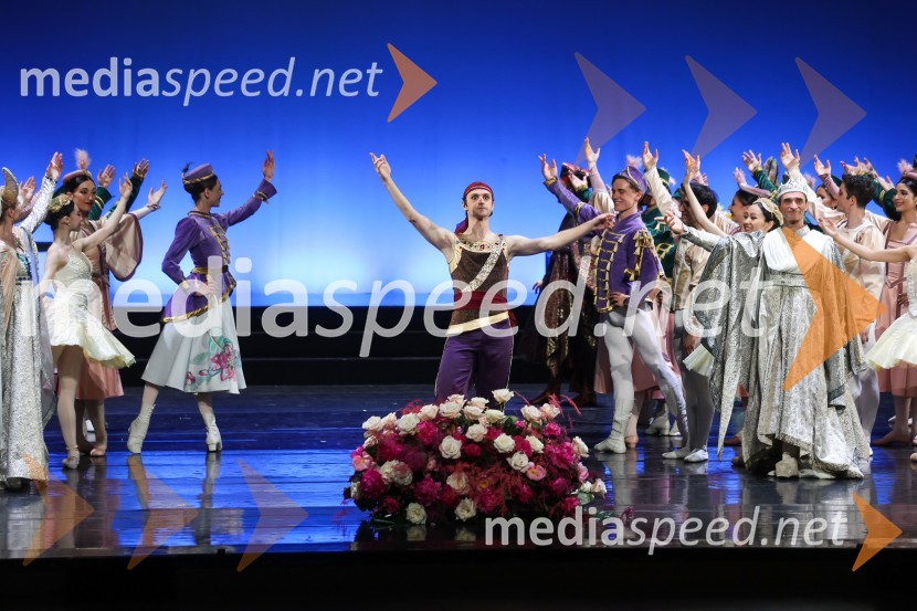 Drugi mednarodni plesni festival Baletne noči, otvoritev