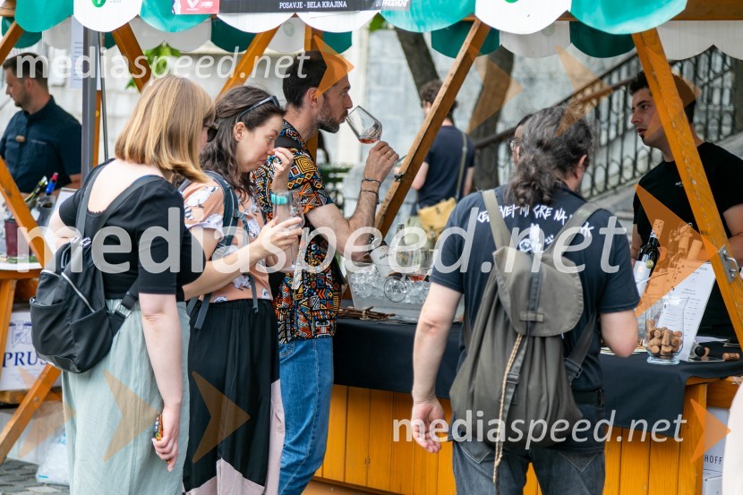 Ljubljanska vinska pot 2024