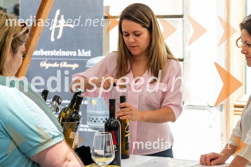 Ljubljanska vinska pot 2024