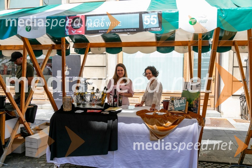 Ljubljanska vinska pot 2024