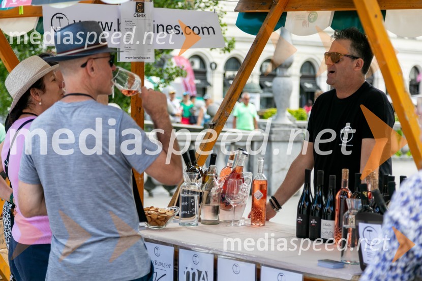 Ljubljanska vinska pot 2024