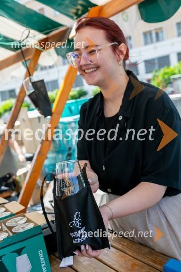 Ljubljanska vinska pot 2024