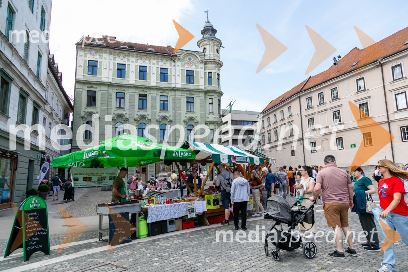 Ljubljanska vinska pot 2024