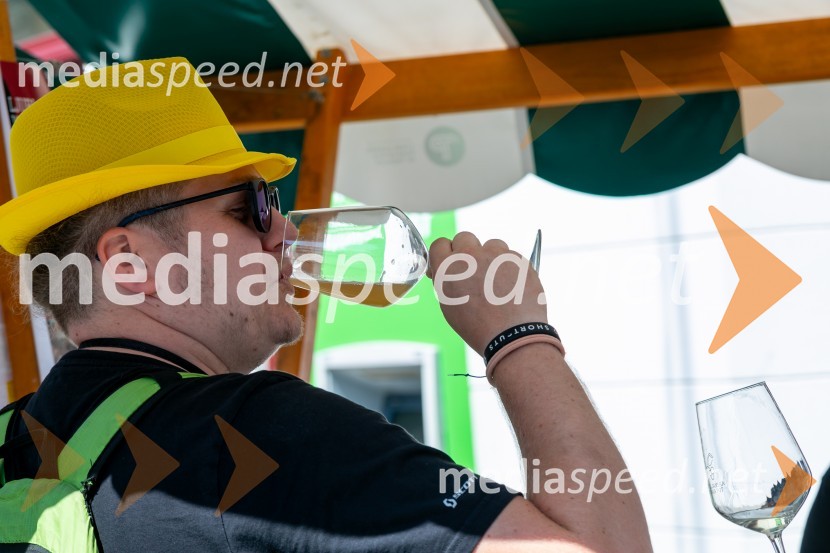  Domen  Mavrič, Agencija AVILjubljanska vinska pot 2024