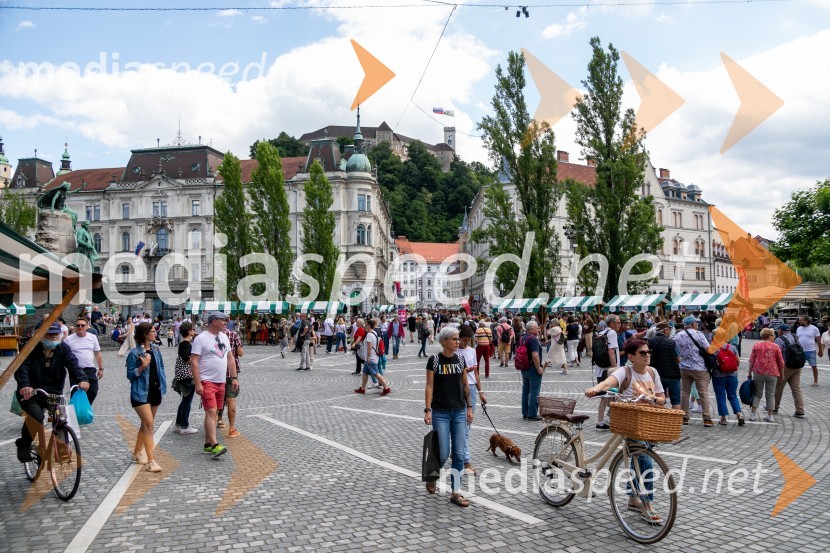 Ljubljanska vinska pot 2024
