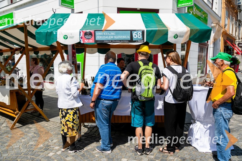 Ljubljanska vinska pot 2024