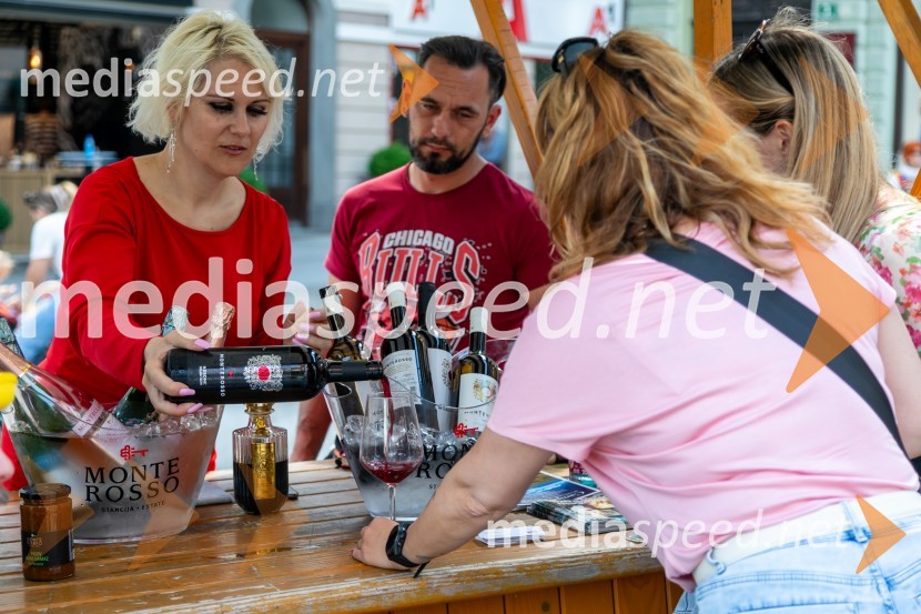 Ljubljanska vinska pot 2024