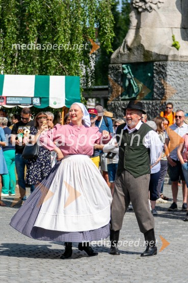 Ljubljanska vinska pot 2024