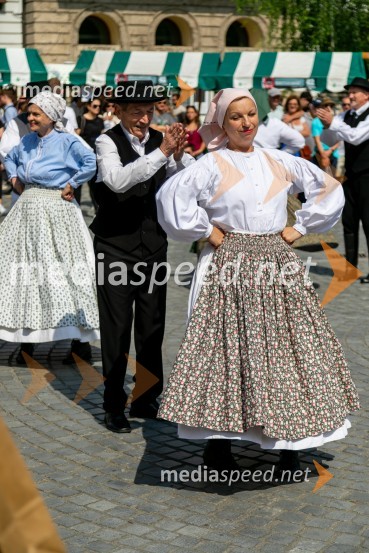 Ljubljanska vinska pot 2024